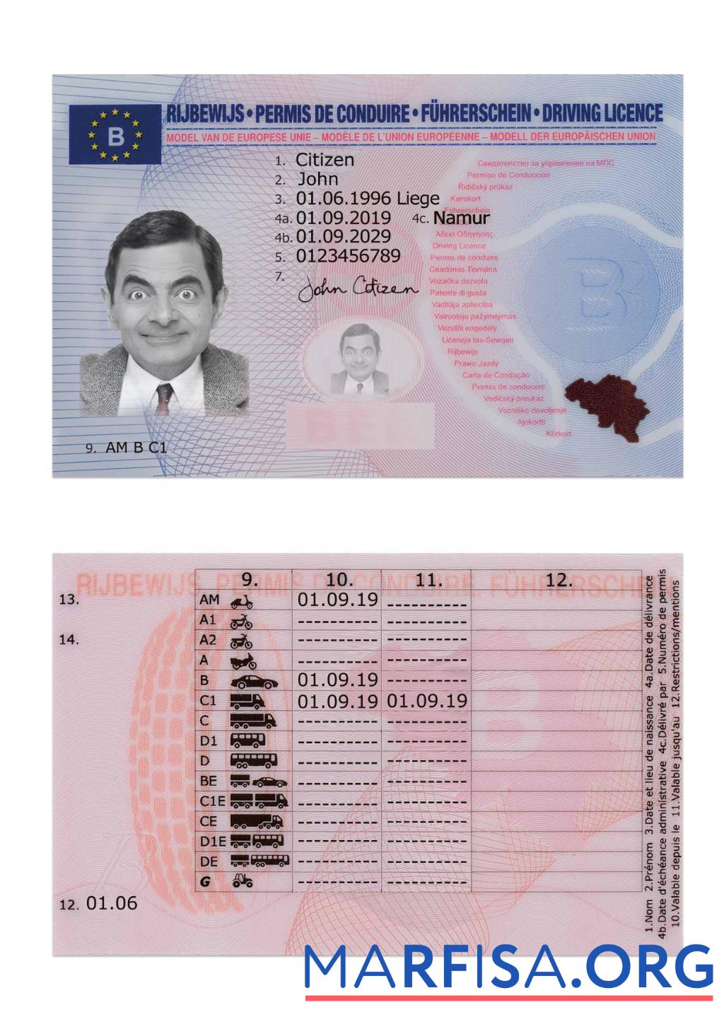 Printable Belgium driving license 2019 present example